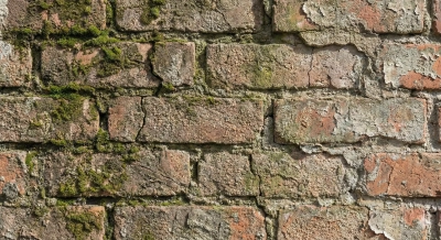 Termogênico Thermo Active 60 Cáps Maxinutri